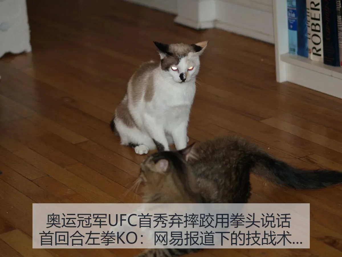 奥运冠军UFC首秀弃摔跤用拳头说话 首回合左拳KO：下的技战术观察